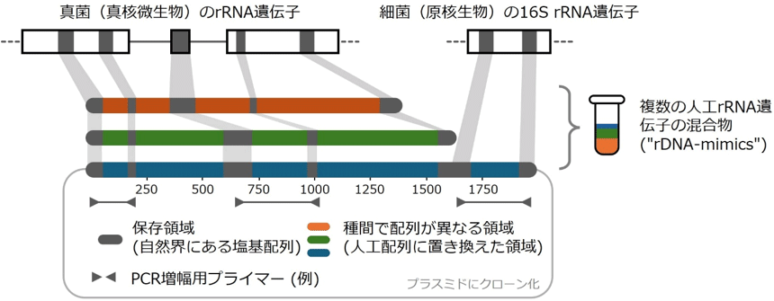 図1